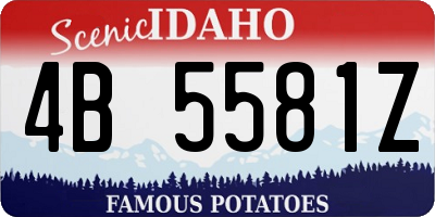 ID license plate 4B5581Z