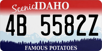 ID license plate 4B5582Z