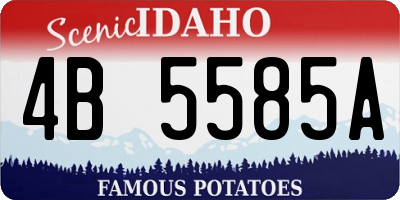 ID license plate 4B5585A