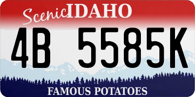 ID license plate 4B5585K