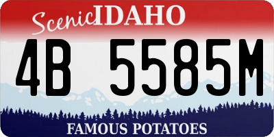 ID license plate 4B5585M