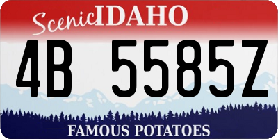 ID license plate 4B5585Z