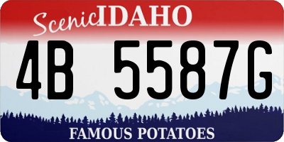ID license plate 4B5587G