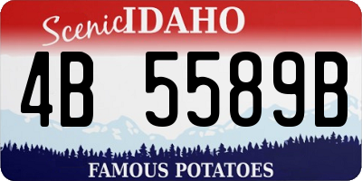 ID license plate 4B5589B