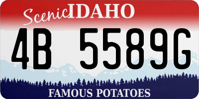 ID license plate 4B5589G