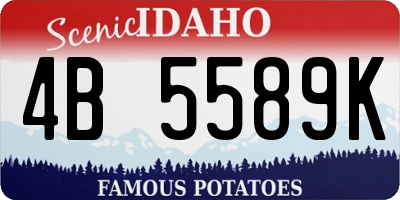 ID license plate 4B5589K