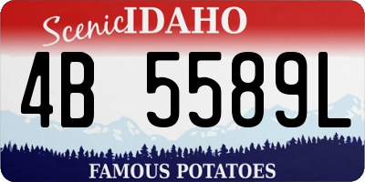 ID license plate 4B5589L