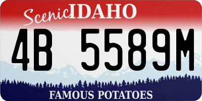 ID license plate 4B5589M