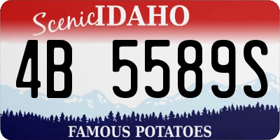 ID license plate 4B5589S