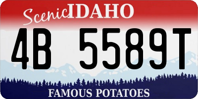 ID license plate 4B5589T