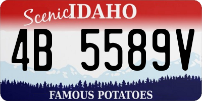 ID license plate 4B5589V