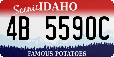ID license plate 4B5590C