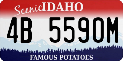 ID license plate 4B5590M