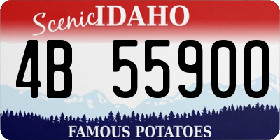 ID license plate 4B5590O