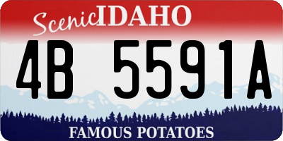 ID license plate 4B5591A