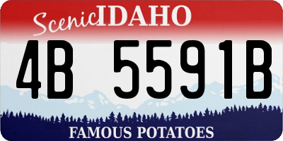 ID license plate 4B5591B