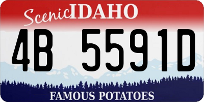 ID license plate 4B5591D