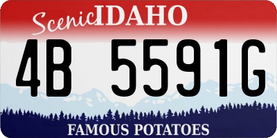 ID license plate 4B5591G