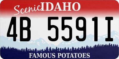 ID license plate 4B5591I