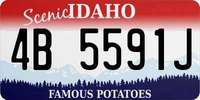 ID license plate 4B5591J