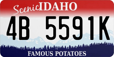 ID license plate 4B5591K