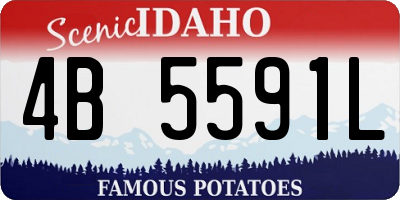 ID license plate 4B5591L