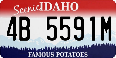 ID license plate 4B5591M