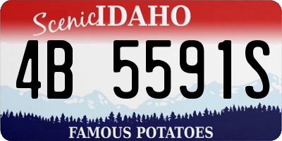 ID license plate 4B5591S