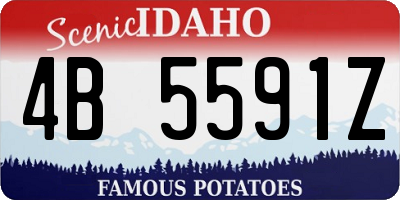 ID license plate 4B5591Z