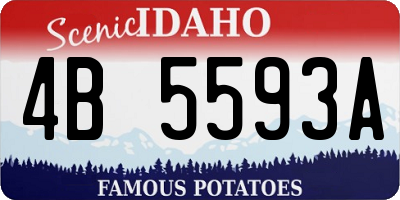ID license plate 4B5593A