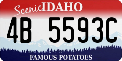 ID license plate 4B5593C