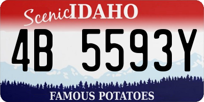 ID license plate 4B5593Y