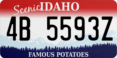 ID license plate 4B5593Z
