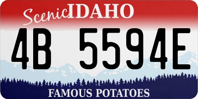 ID license plate 4B5594E