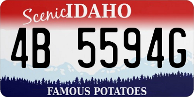 ID license plate 4B5594G