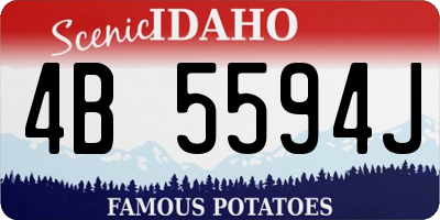 ID license plate 4B5594J