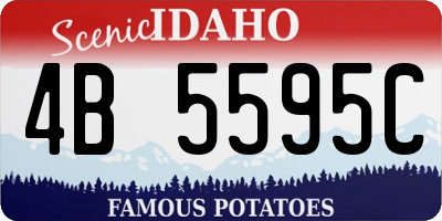 ID license plate 4B5595C