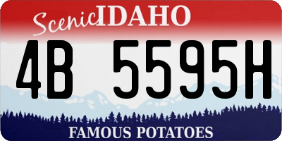 ID license plate 4B5595H