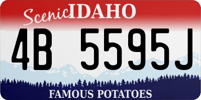 ID license plate 4B5595J