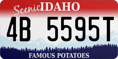ID license plate 4B5595T