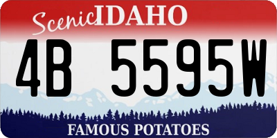 ID license plate 4B5595W