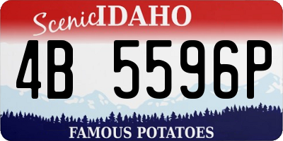 ID license plate 4B5596P
