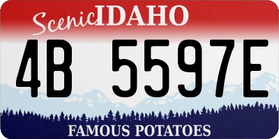 ID license plate 4B5597E