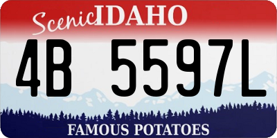 ID license plate 4B5597L