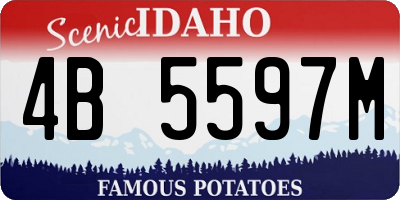 ID license plate 4B5597M