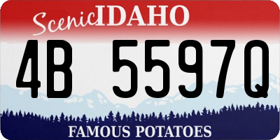 ID license plate 4B5597Q