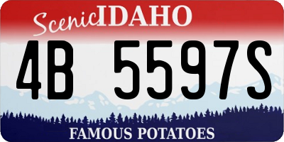 ID license plate 4B5597S