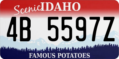 ID license plate 4B5597Z