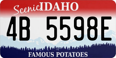 ID license plate 4B5598E