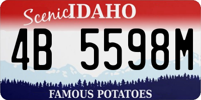 ID license plate 4B5598M